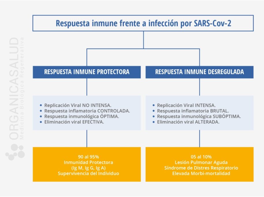 tipos-de-inmunidad-organicasalud