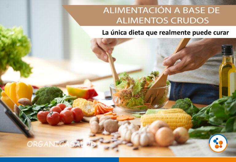 AlimentaciÓn A Base De Alimentos Crudos Organicasaludperu 4236